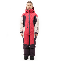 Dragonfly Зимний утепленный комбинезон Gravity Teenager Pink - Plum - Light Grey 2025 в Ижевске